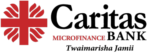 Caritas Microfinance